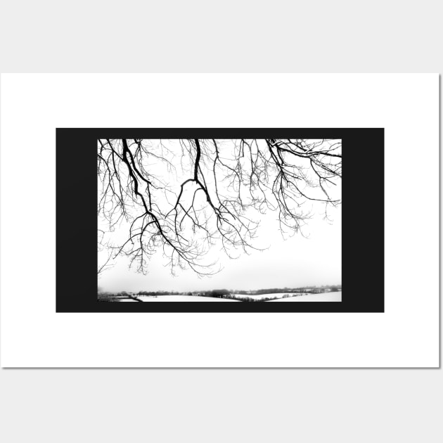 Snow blanket landscape Wall Art by heidiannemorris